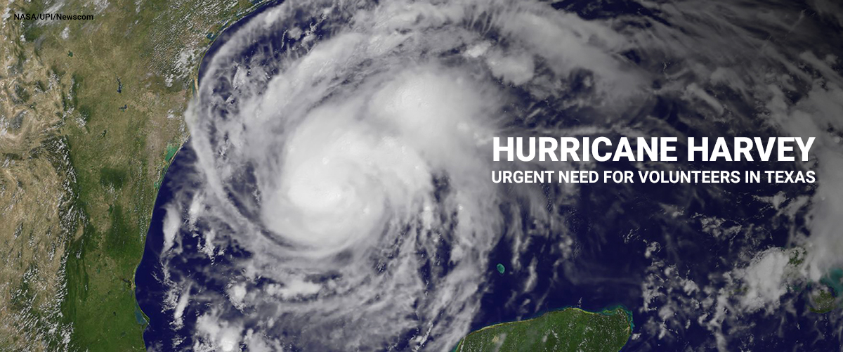 Hurricane Harvey Volunteers Needed