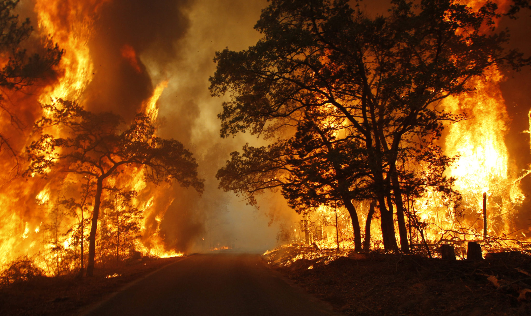 Wildfire burns out of control. Disaster Relief Resources