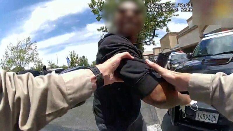 Use of Force in U.S. Policing 2025 – Law Enforcement and Public Safety
