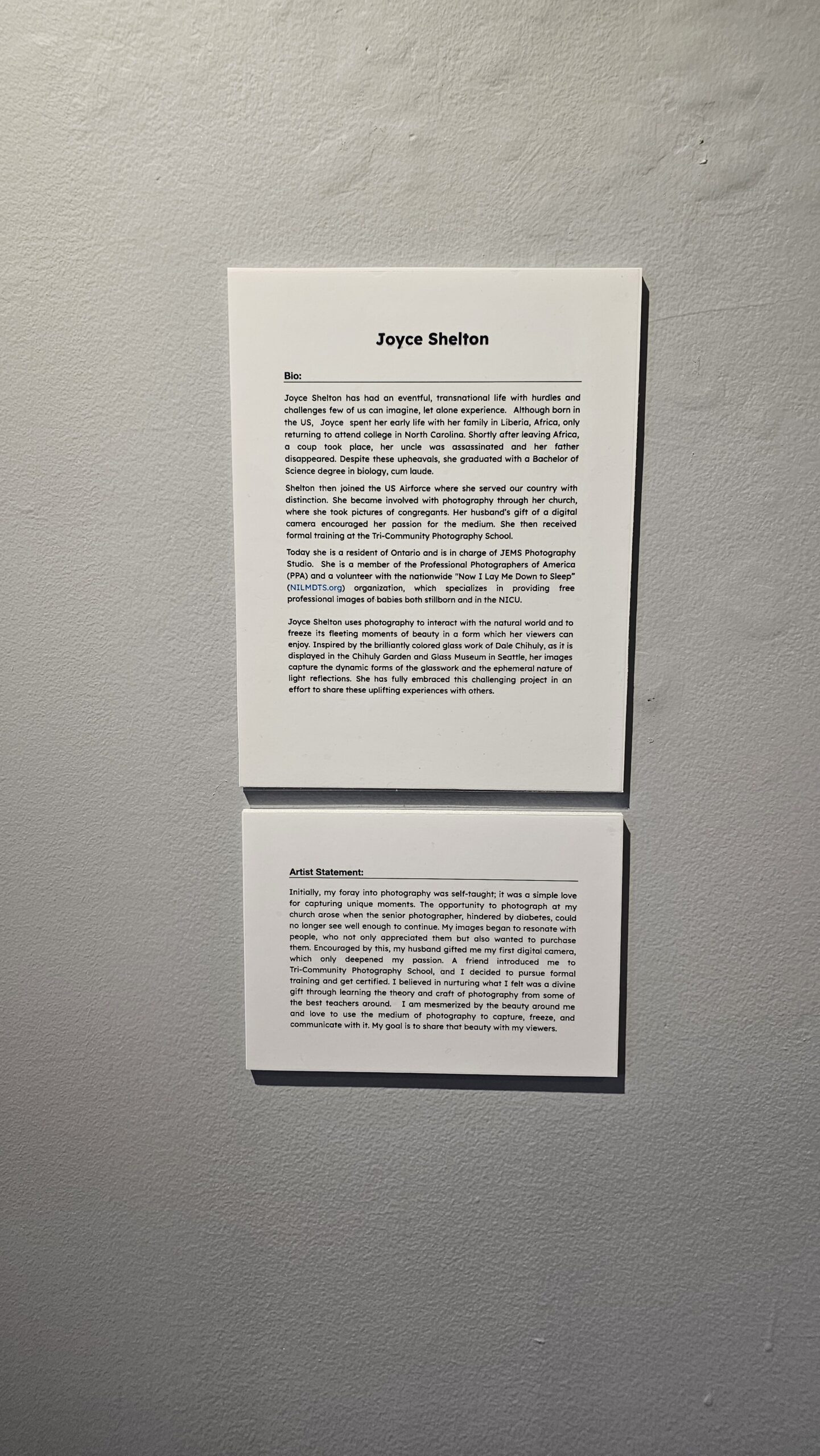 D’Andre D. Lampkin Foundation Supports Joyce Shelton at Chaffey Art Exhibition